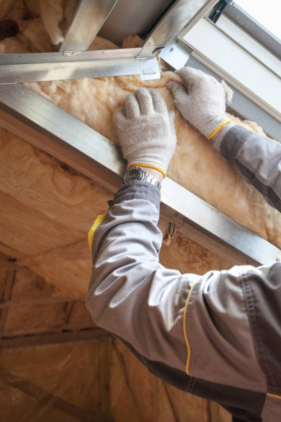 Best Insulation Installation Services in Oak Lawn, IL