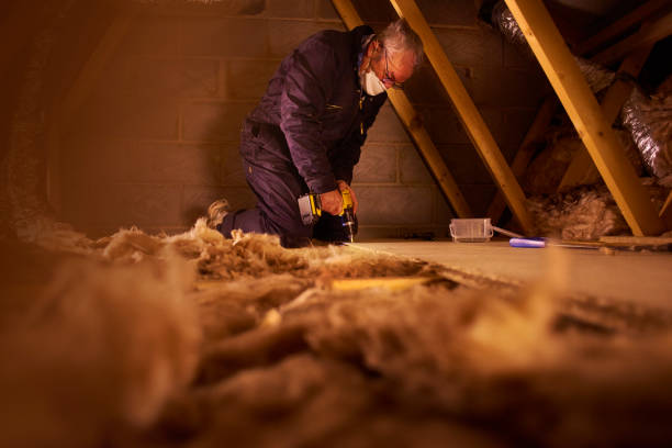 Best Types of Insulation in Oak Lawn, IL